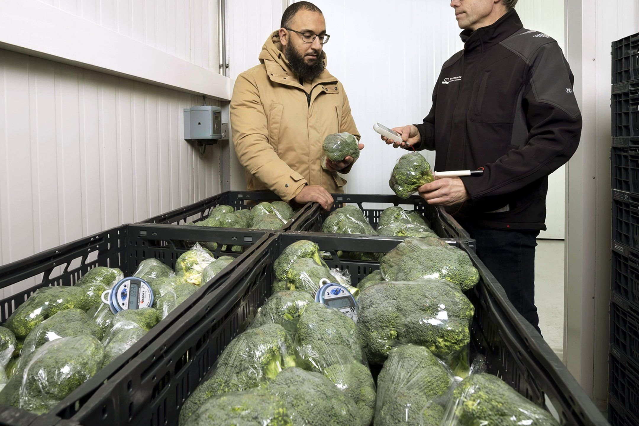 Fresh Food Quality